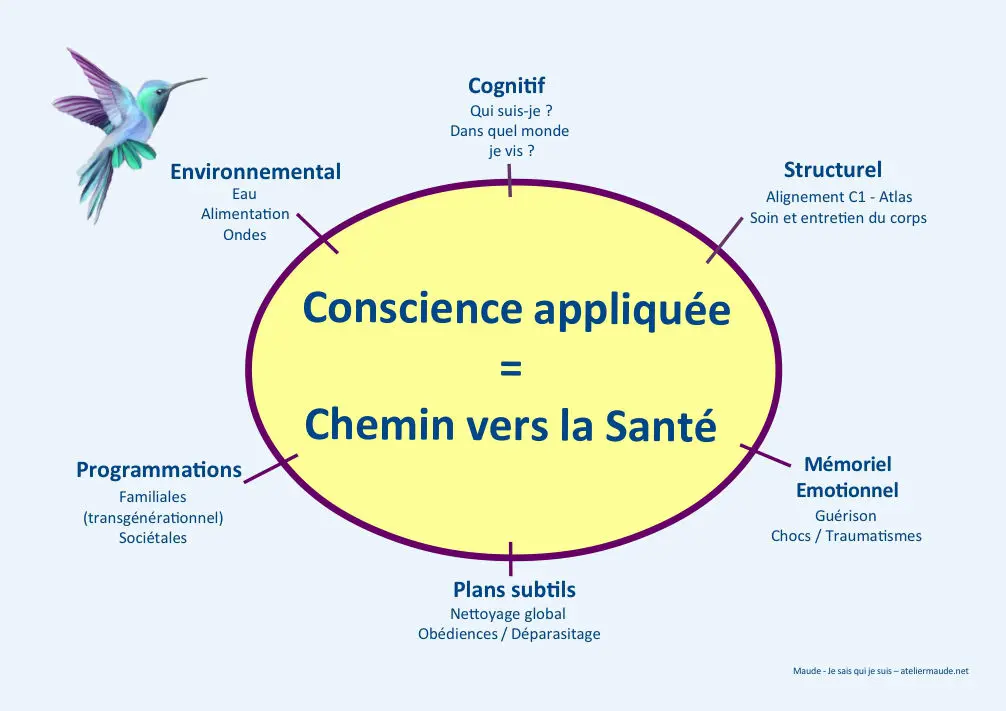 schéma